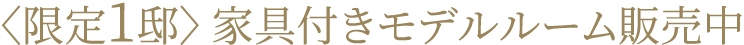 限定1邸　家具付きモデルルーム販売中